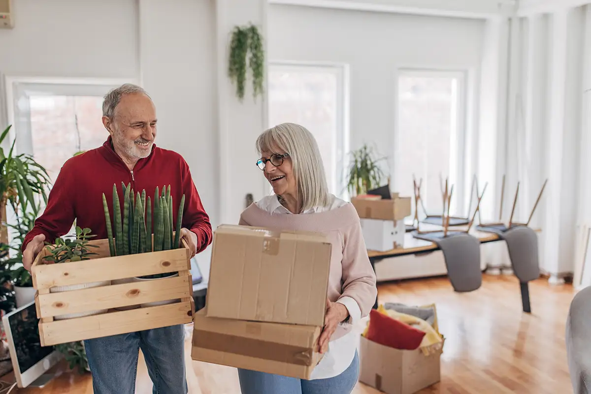 Declutter & Discover
